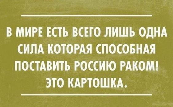 Подробнее о статье Очень свежие убойные шутки