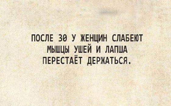 Читать очень свежие смешные до слез шутки