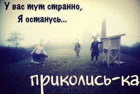 Прикольная до слез подборка картинок с надписями
