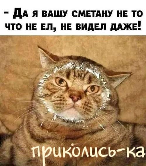 Прикольная до слез подборка картинок с надписями