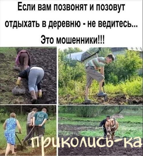 Прикольная до слез подборка картинок с надписями
