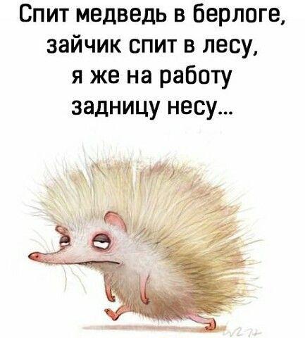 Свежие веселые картинки