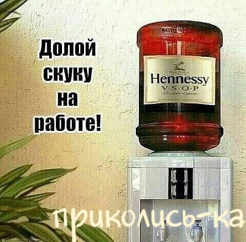 Прикольная до слез подборка картинок с надписями