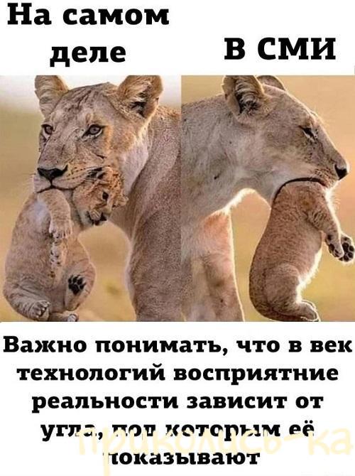 Прикольная до слез подборка картинок с надписями