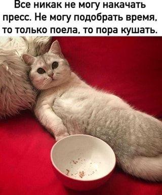 Забавная подборка картинок с надписями