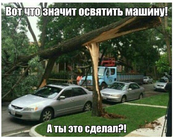 Лучшая подборка картинок с надписями