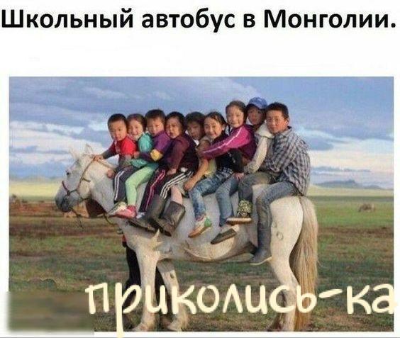 Ржачная подборка картинок с надписями