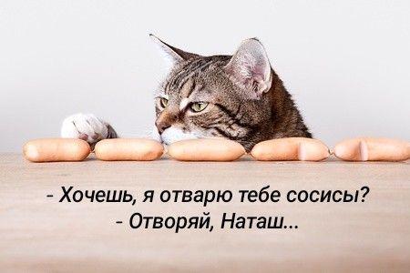 Лучшая подборка картинок с надписями