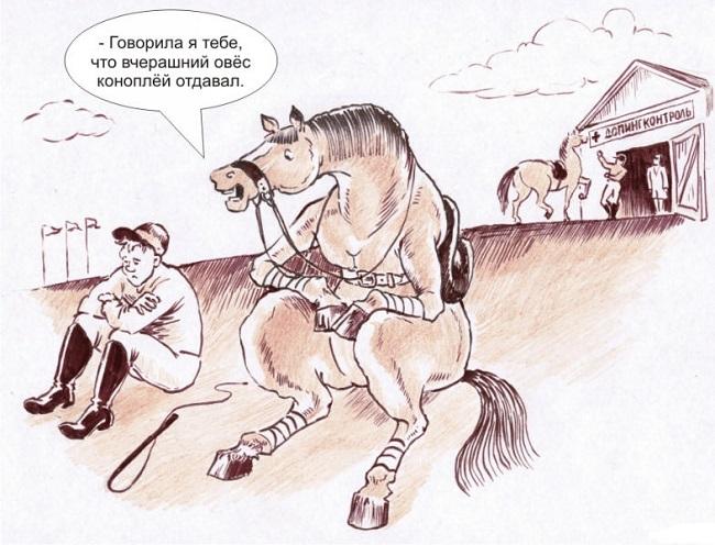 Смешные карикатуры про лошадей