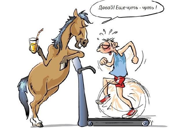 Смешные карикатуры про лошадей