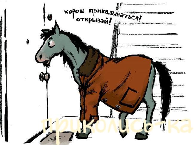 Подробнее о статье Убойные анекдоты про лошадей