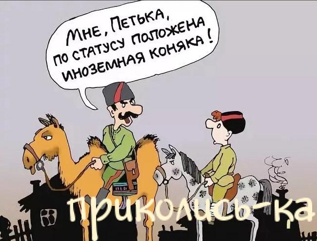 Подробнее о статье Угарные анекдоты про лошадей