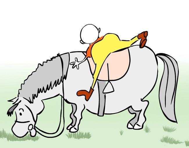 Подробнее о статье Веселые анекдоты про лошадей
