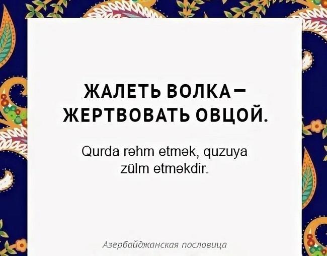 Подробнее о статье Мудрые азербайджанские пословицы и поговорки