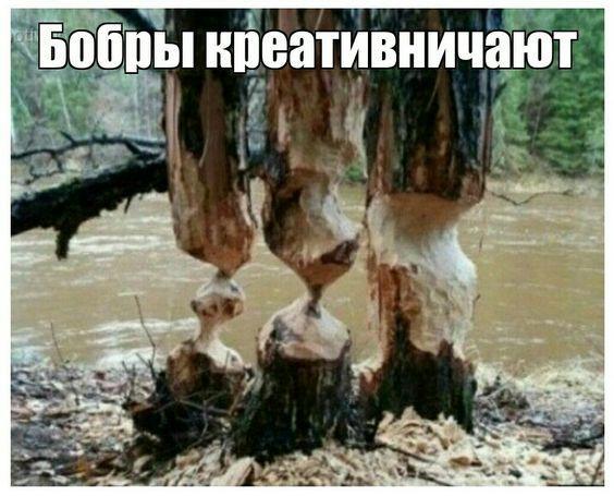 Новые клевые картинки