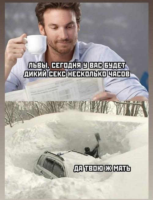 Смешные картинки для настроения