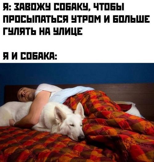 Новые очень смешные картинки