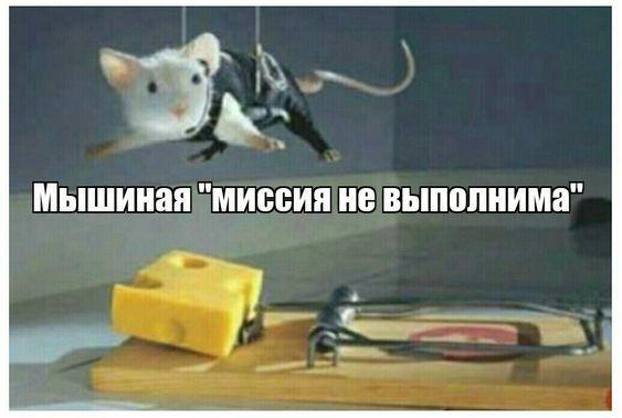 Новые очень смешные картинки
