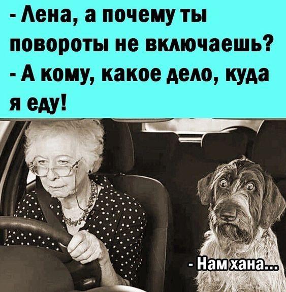 Новые очень смешные картинки