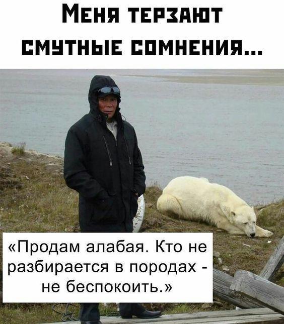 Свежие классные картинки