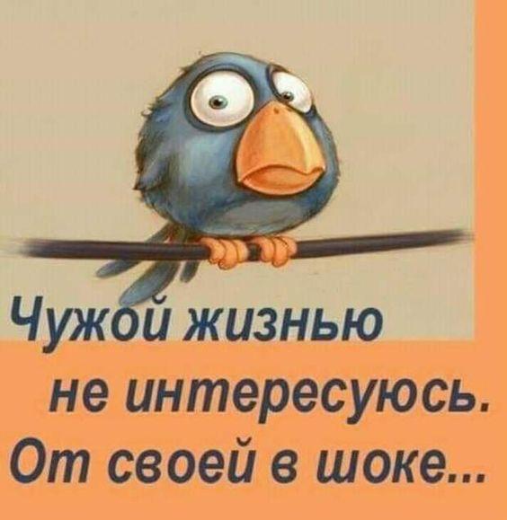 Свежие классные картинки