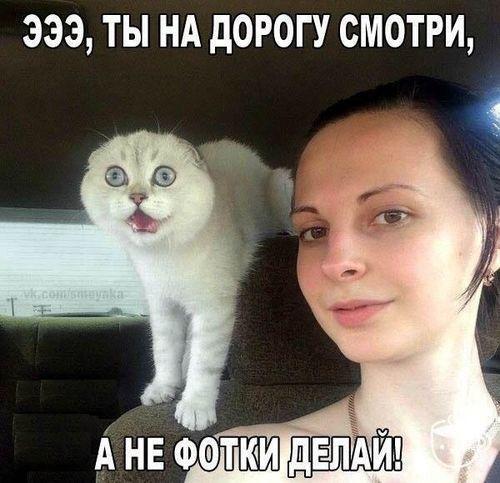 Новые самые смешные картинки
