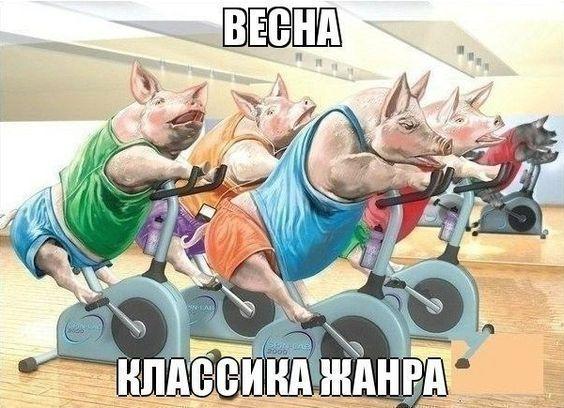 Свежие лучшие картинки