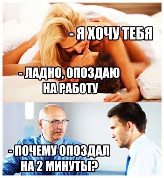 Свежие лучшие картинки