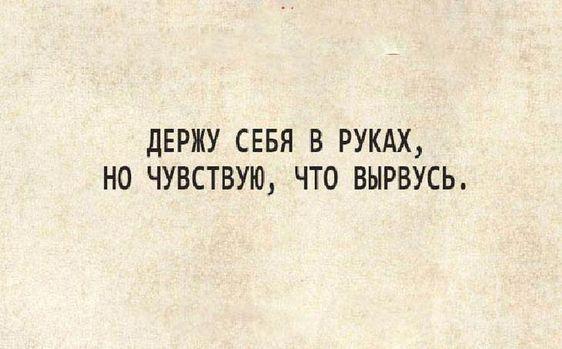 Подробнее о статье Читать очень свежие веселые шутки