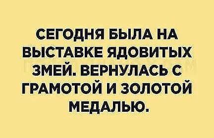 Подробнее о статье Читать очень свежие лучшие шутки