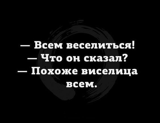 Подробнее о статье Читать очень свежие улетные шутки