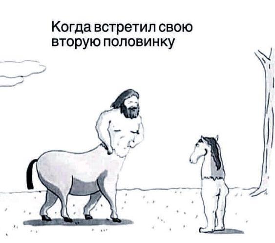 Лучшие картинки для настроения