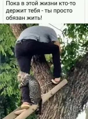 Новые веселые картинки
