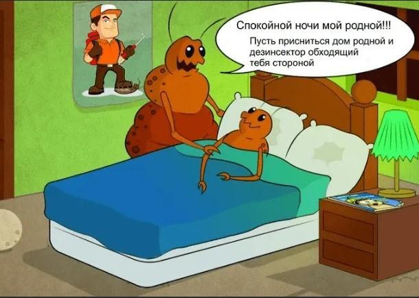 Прикольные до слез карикатуры про животных