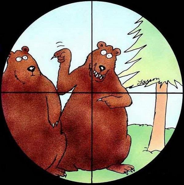 Ржачные анекдоты про медведя