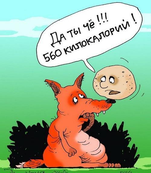 Прикольные картинки для хорошего настроения
