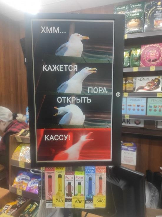 Самые смешные фотографии