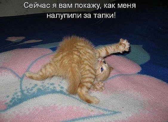 Улетные картинки для хорошего настроения