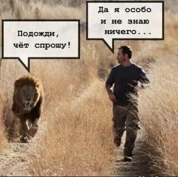 Прикольные картинки для хорошего настроения