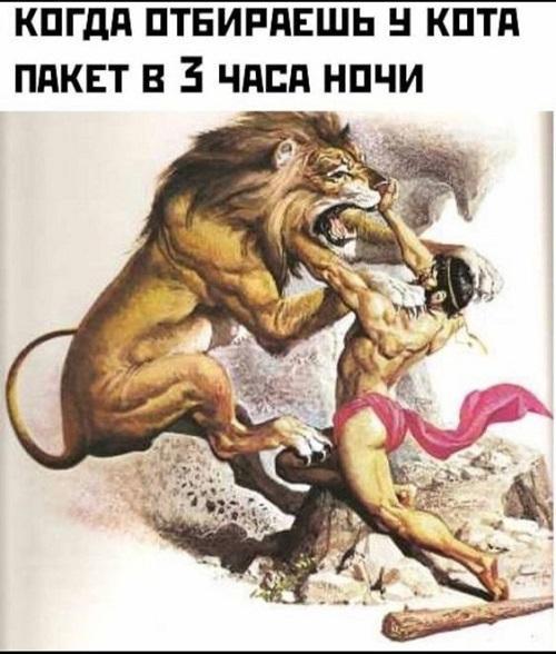 Очень смешные картинки и фото с надписями