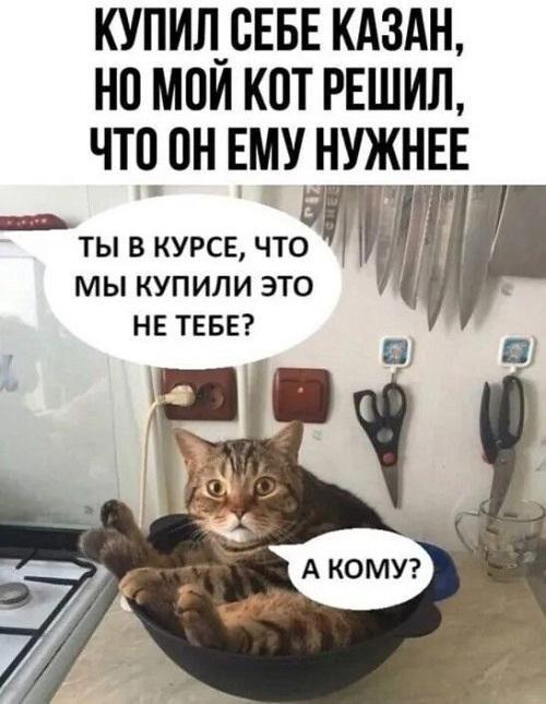 Очень смешные картинки и фото с надписями