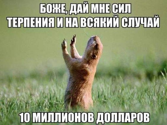 Очень смешные картинки и фото с надписями