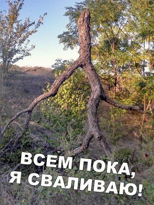 Самые смешные картинки и фото с надписями