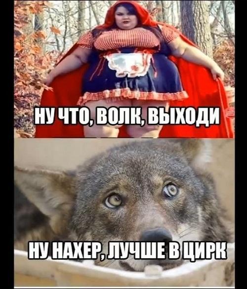 Самые смешные картинки и фото с надписями