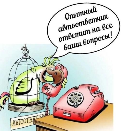 Прикольные картинки и фото с надписями
