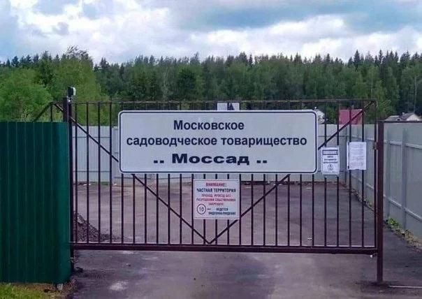 Ржачные фотографии