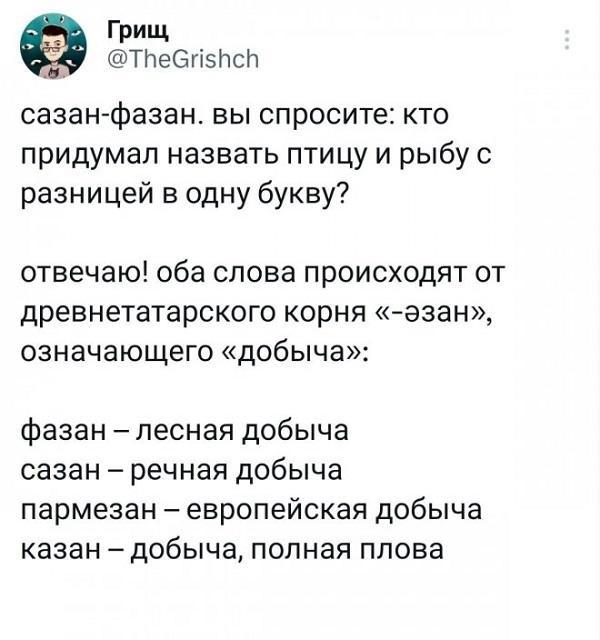 Смешные до слез комментарии из социальных сетей (картинки)
