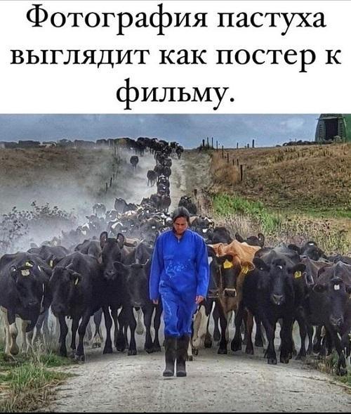 Ржачные до слез картинки и фото с надписями