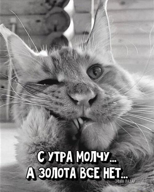 Ржачные до слез картинки и фото с надписями
