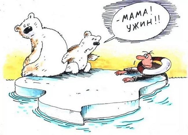 Подробнее о статье Смешные карикатуры про медведя